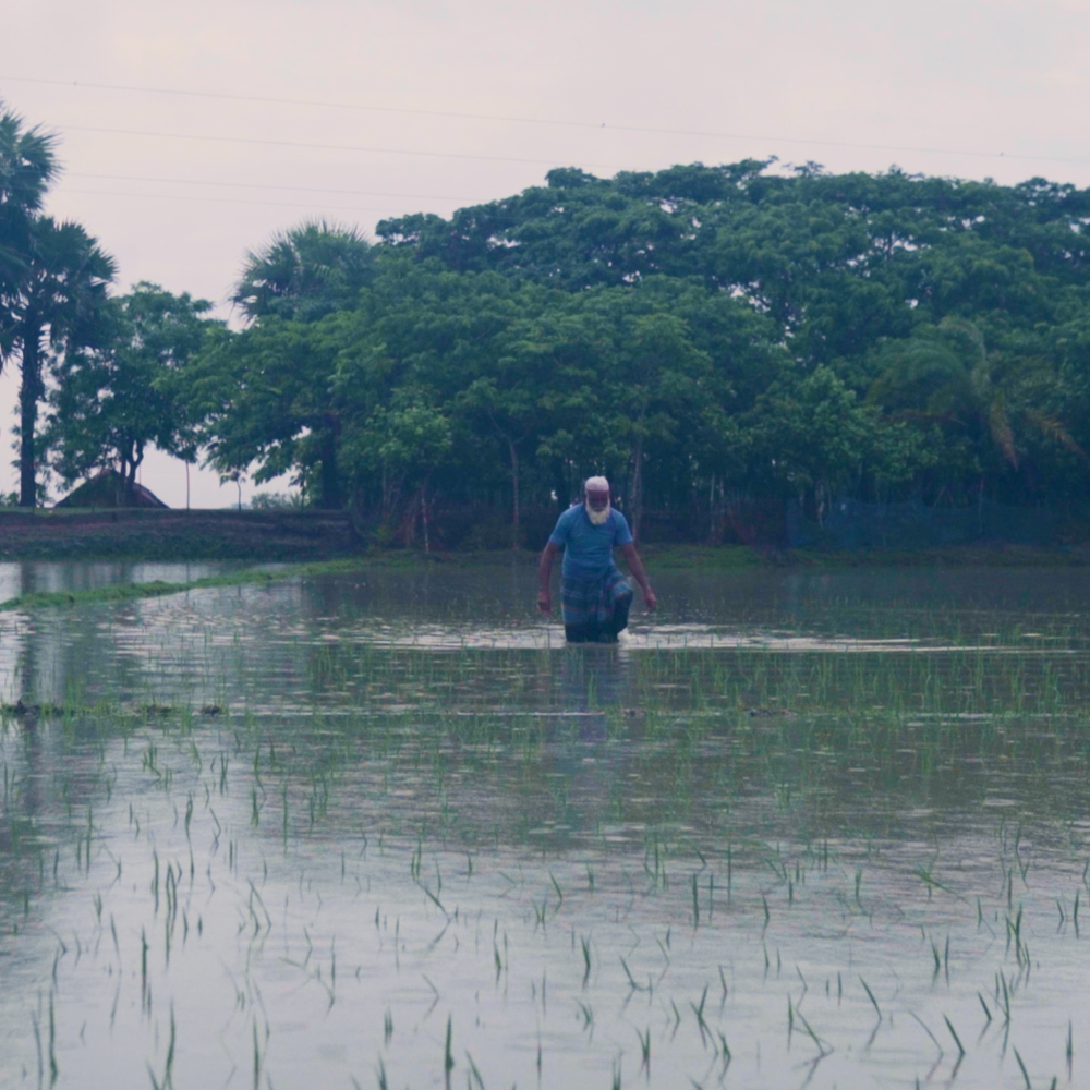 Water Security